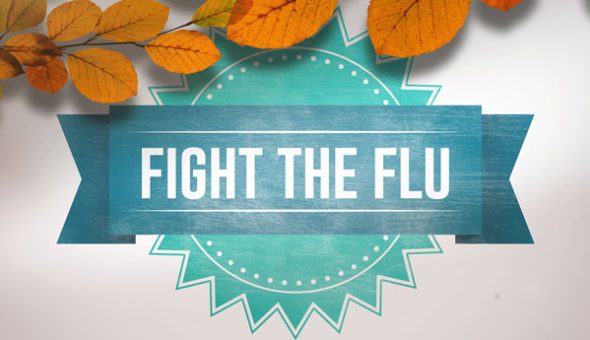 fight the flu