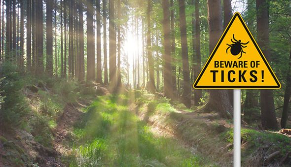 beware of ticks